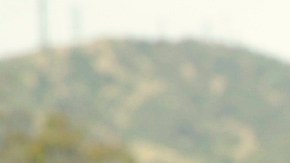 Estrella Jalisco Armando de la Torre