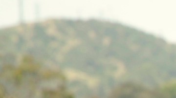 Estrella Jalisco Armando de la Torre