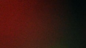 Claudio Pizarro celebrates with a piece of goal netting after winning the UEFA Champions League.  Photo by Shaun Botterill/Getty Images