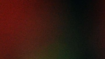 Claudio Pizarro celebrates with a piece of goal netting after winning the UEFA Champions League.  Photo by Shaun Botterill/Getty Images