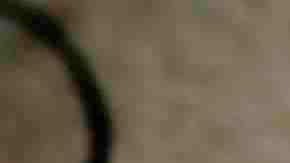 Photo by goldhafen/E+