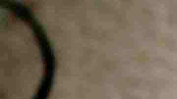 Photo by goldhafen/E+