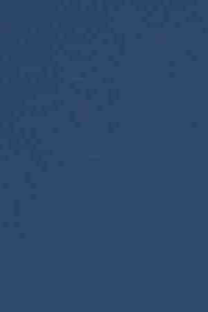 Photo by edfuentesg / iStock / Getty Images Plus