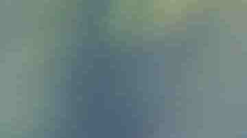 Photo by valentinrussanov / E+