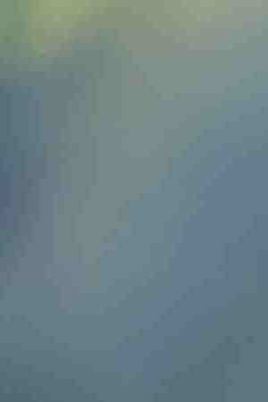 Photo by valentinrussanov / E+