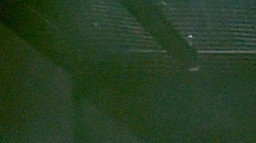 BTS performs during the 2017 American Music Awards. (Photo by Kevin Winter/Getty Images)