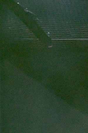 BTS performs during the 2017 American Music Awards. (Photo by Kevin Winter/Getty Images)