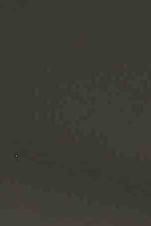 A two-year-old Honduran asylum seeker cries as her mother is searched and detained near the U.S.-Mexico border.  Photo by John Moore/Getty Images