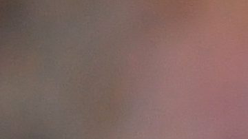 Edson Alvarez of Mexico celebrates following his sides victory.  Photo by Dan Mullan/Getty Images