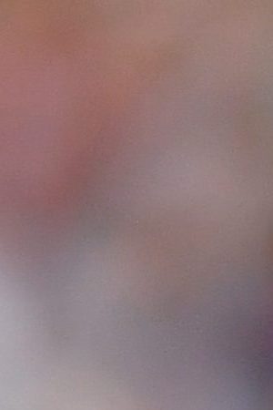 Edson Alvarez of Mexico celebrates following his sides victory.  Photo by Dan Mullan/Getty Images