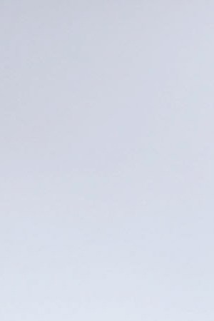 U.S. first lady Melania Trump boards an Air Force plane before traveling to Texas to visit facilities that house and care for children taken from their parents at the U.S.-Mexico border. Photo by Chip Somodevilla/Getty Images