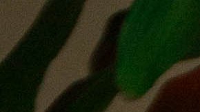 Photo by Itzel Alejandra Martinez for Remezcla