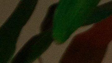 Photo by Itzel Alejandra Martinez for Remezcla