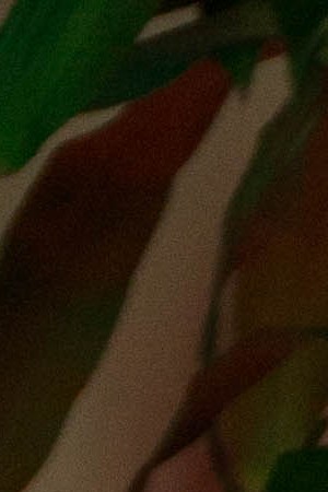 Photo by Itzel Alejandra Martinez for Remezcla