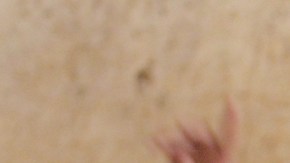 Photo by Henry Chalfant. Courtesy of Raquel Cepeda