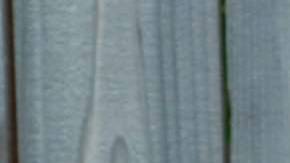 Photo by Jessica Alvarenga from the Witness the Isthmus. Courtesy of the photographer