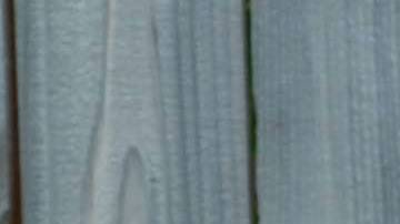 Photo by Jessica Alvarenga from the Witness the Isthmus. Courtesy of the photographer