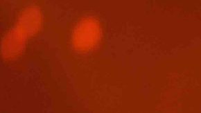 Maluma performs on stage during Univision's "Premios Juventud" 2017. Photo by Rodrigo Varela/Getty Images for Univision