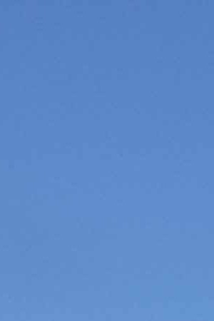 Photo by Melissa Saenz Gordon for Remezcla