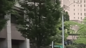 Screen shot of 'Chinga la Migra' web series