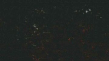 Photo by David Rice. Courtesy of The Syndicate