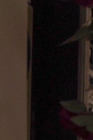 Estrella Jalisco - jessica resendiz