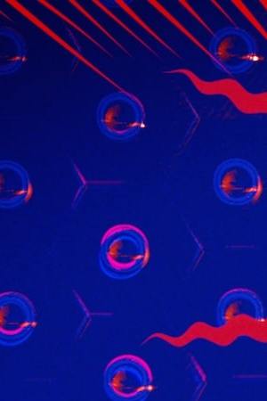 Miles Morales in Sony Pictures Animation's 'Spider-Man: Into the Spider-Verse.' Courtesy of Sony Pictures Entertainment.