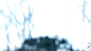 'Sunday's Illness' film still.