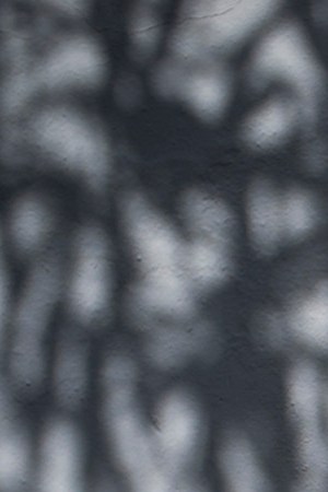 Hip hop artist Lady Cultura on July 19, 2018 in Miami, Florida. Photo by Karina Gonzalez/Latino Reporter. Courtesy of Karina Gonzalez