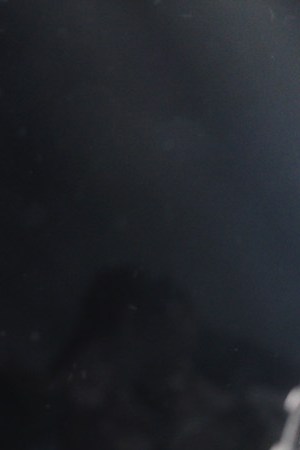 'Alita: Battle Angel.' Courtesy of 20th Century Fox