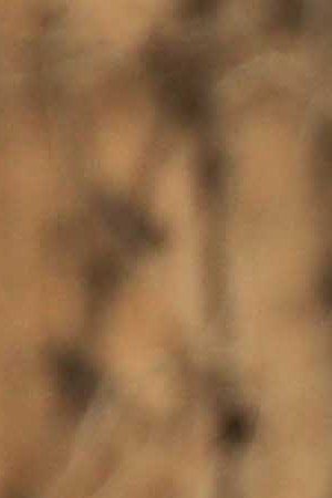 Photo by Itzel Alejandra Martinez for Remezcla