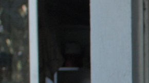 'Cola de mono' image courtesy of TLA Releasing