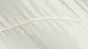 Photo by NTCo / iStock / Getty Images Plus