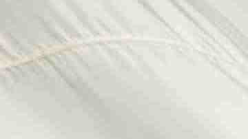 Photo by NTCo / iStock / Getty Images Plus