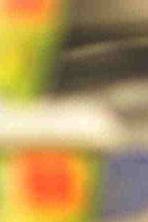 Photo by Joe Raedle / Getty Images News