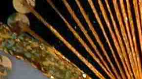 Photo by carterito / 	iStock / Getty Images Plus