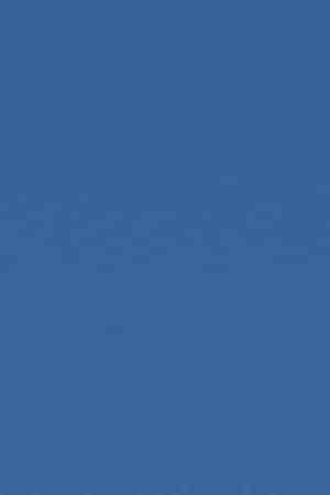 Photo by Derek Brumby / 	iStock / Getty Images Plus