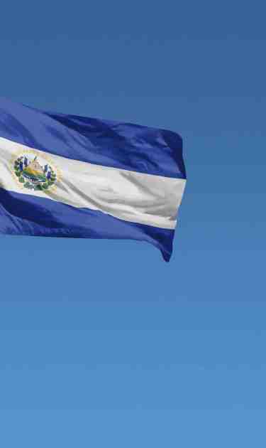 Photo by Derek Brumby / 	iStock / Getty Images Plus