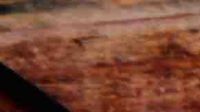 Sliced grilled barbecue beef steak with green chimichurri sauce. Photo: Getty Images