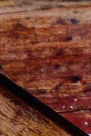 Sliced grilled barbecue beef steak with green chimichurri sauce. Photo: Getty Images