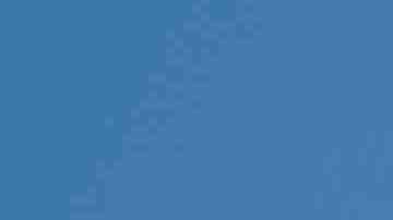 Photo by GBlakeley
/ iStock / Getty Images Plus