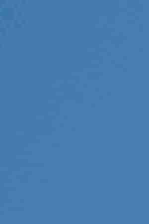 Photo by GBlakeley
/ iStock / Getty Images Plus