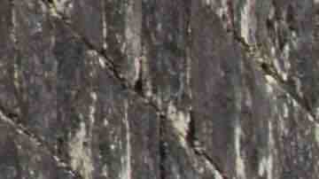 Photo by abstrand / iStock / Getty Images Plus