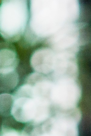 Diego Luna in Narcos Mexico