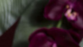 Photo by Alexus McLane. Courtesy of Tatiana Hazel