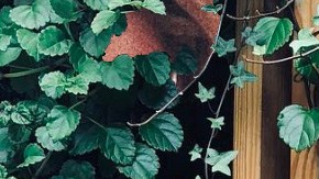 Art by Alan López for Remezcla