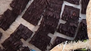 Art by Alan López for Remezcla