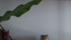 'Museo' still courtesy of Vitagraph Films