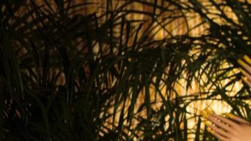 Photo by Orly Arnan. Courtesy of Bomba Estéreo