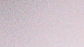 Photo by Javier Ruiz. Courtesy of C. Tangana